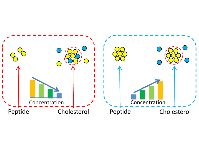 RAS and cholesterol nanocluster properties