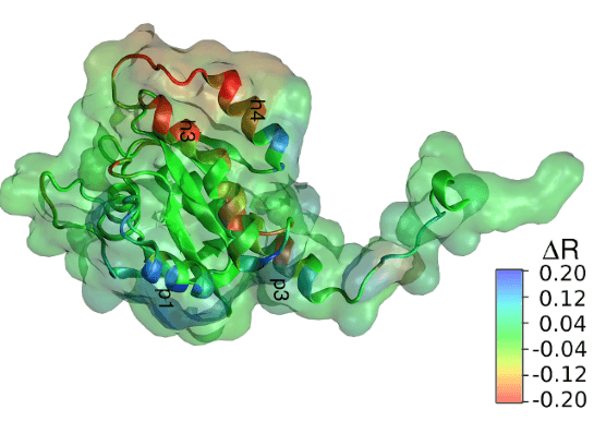 pMD Membrane method