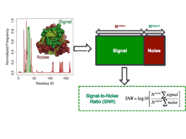 Ligand-binding preference